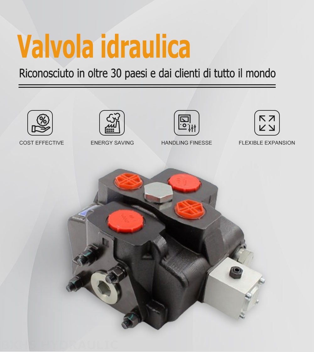 SD25 Manuale 1 Spool Valvola direzionale sezionale