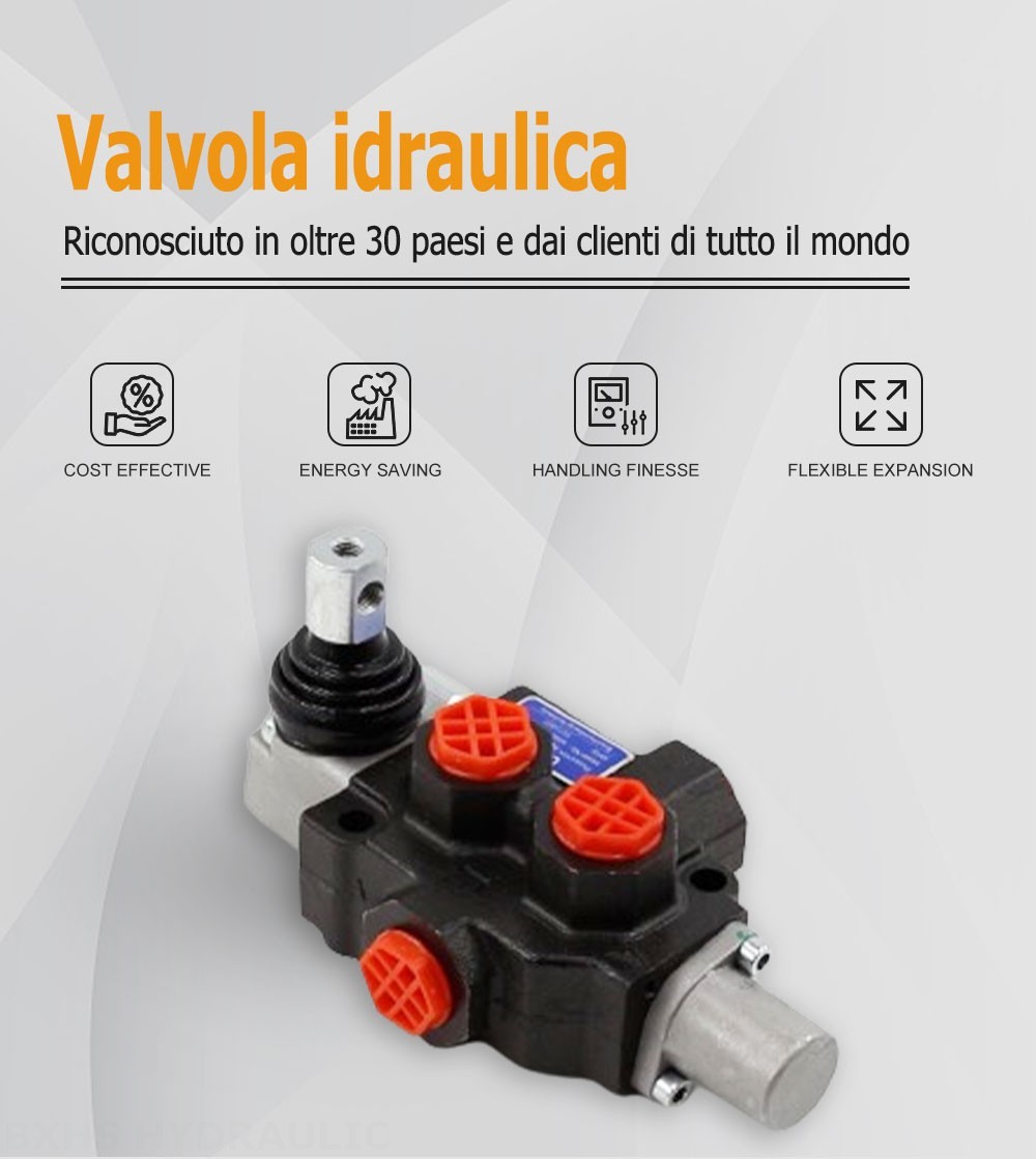 SD4 Manuale 1 Spool Valvola direzionale monoblocco