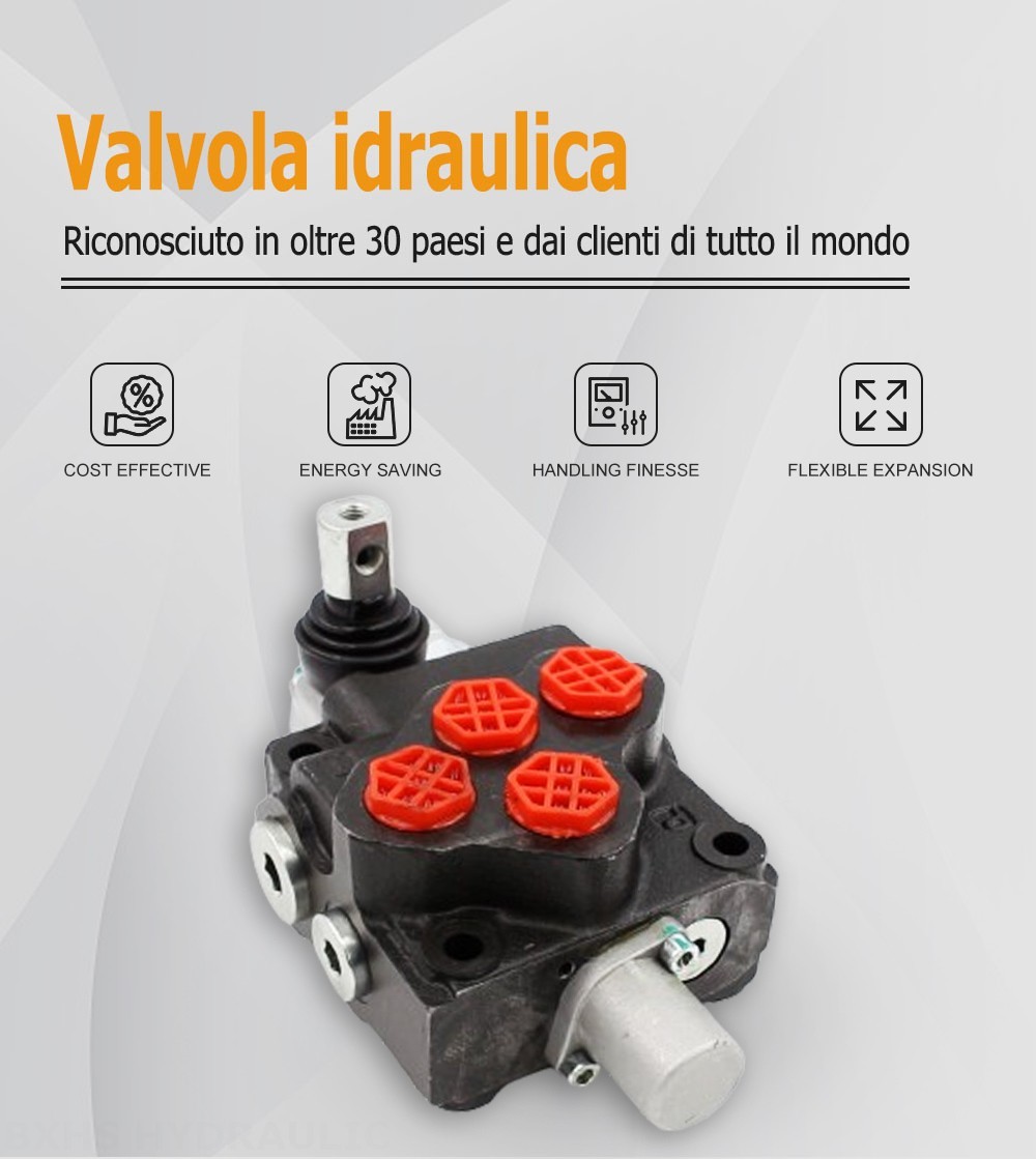 SD5-G38 Manuale 1 Spool Valvola direzionale monoblocco