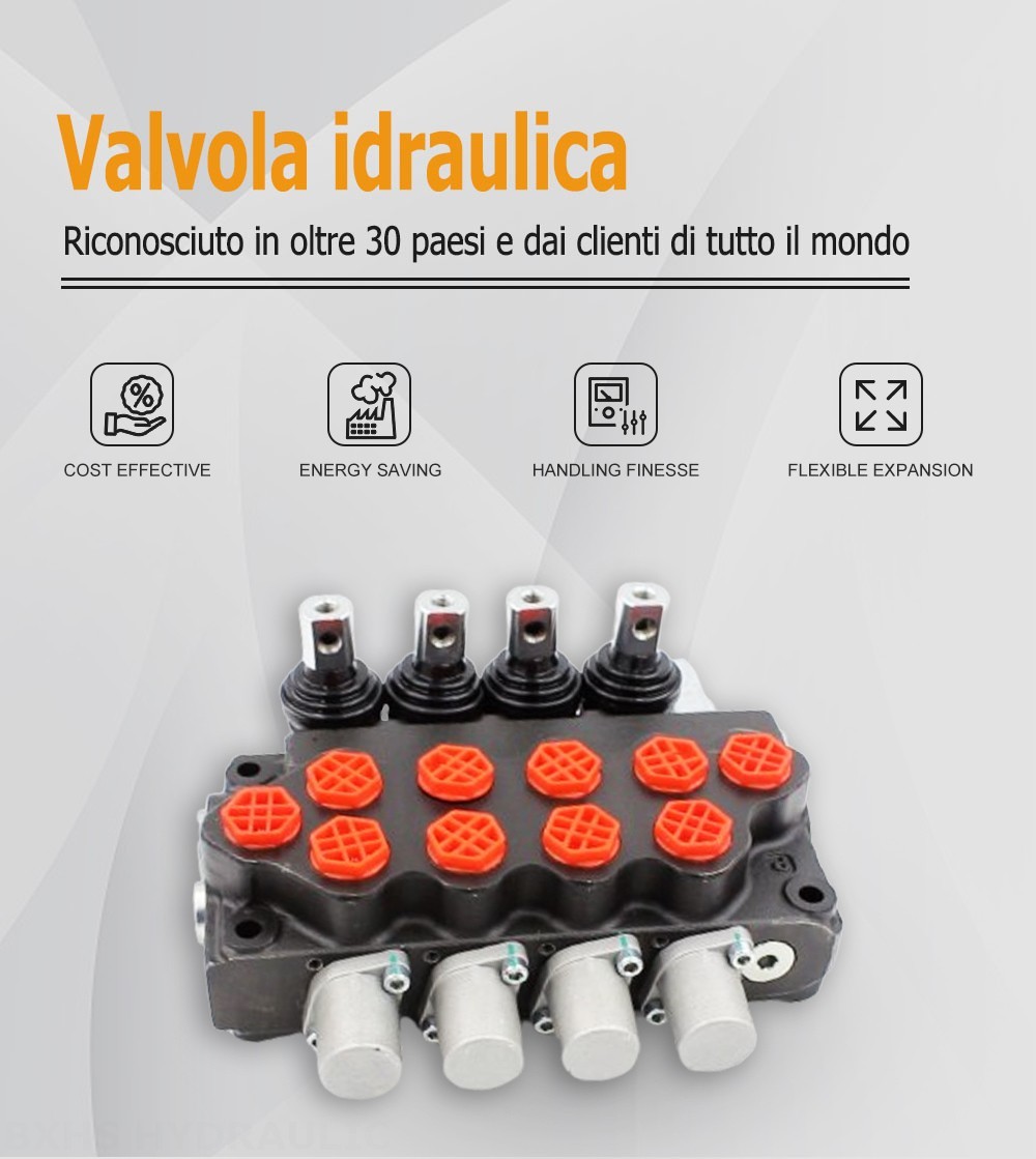 SD5-G38 Manuale 4 Spool Valvola direzionale monoblocco