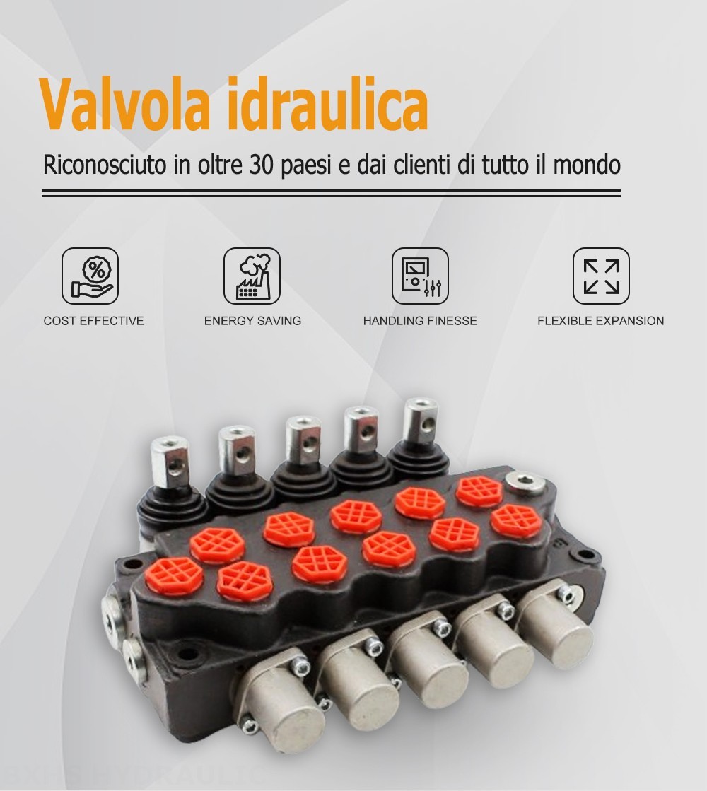 SD5-G38 Manuale 5 Spool Valvola direzionale monoblocco