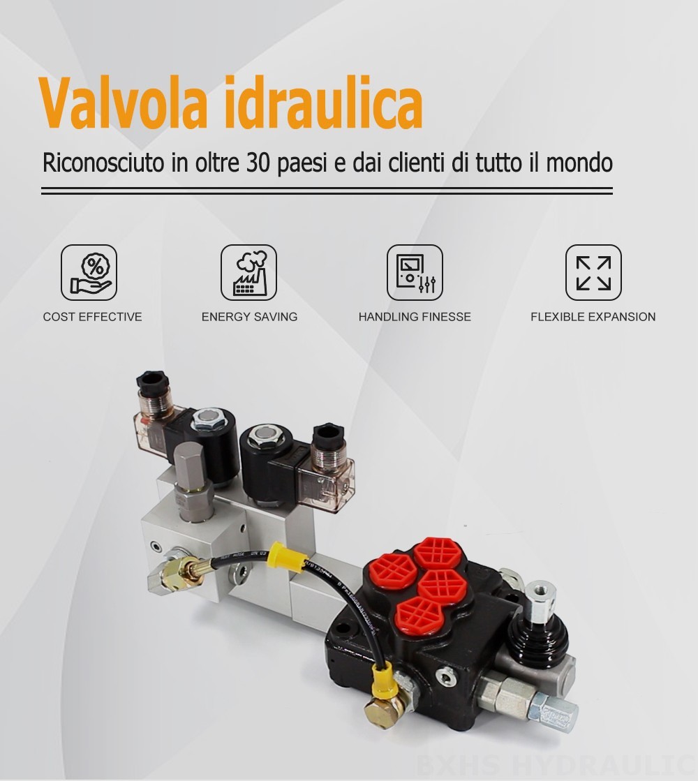 SD5 Elettroidraulico 1 Spool Valvola direzionale monoblocco
