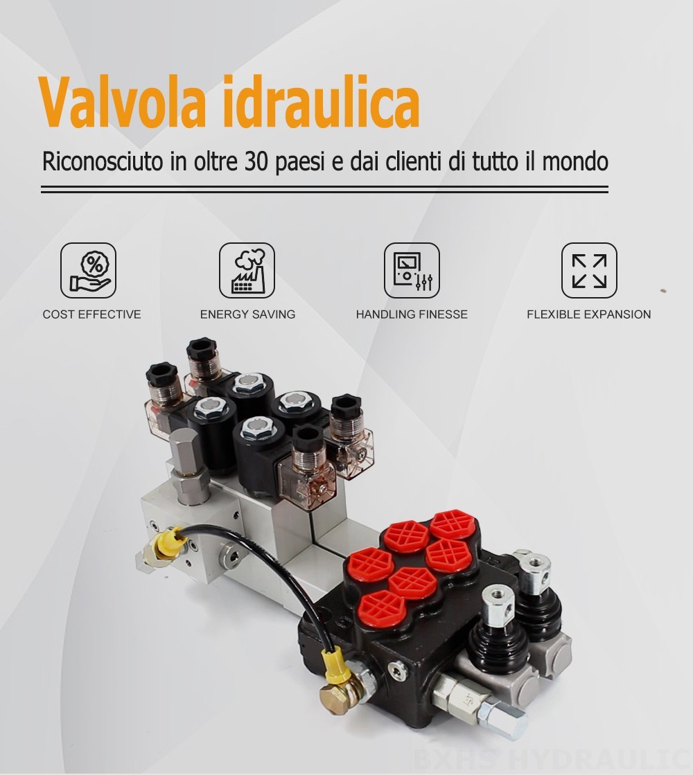 SD5 Elettroidraulico 2 Spool Valvola direzionale monoblocco