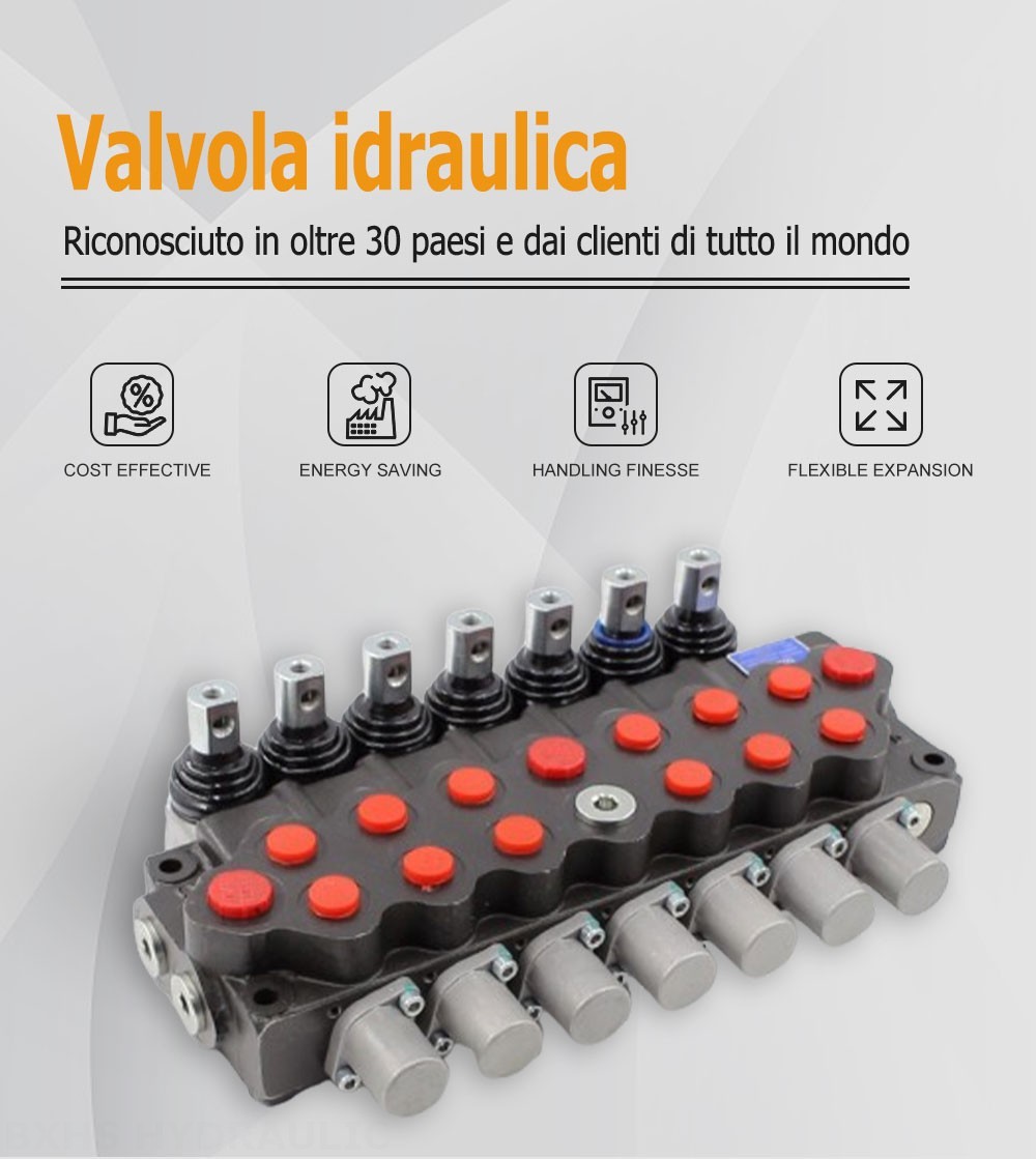 SD5 Manuale 7 Spool Valvola direzionale monoblocco