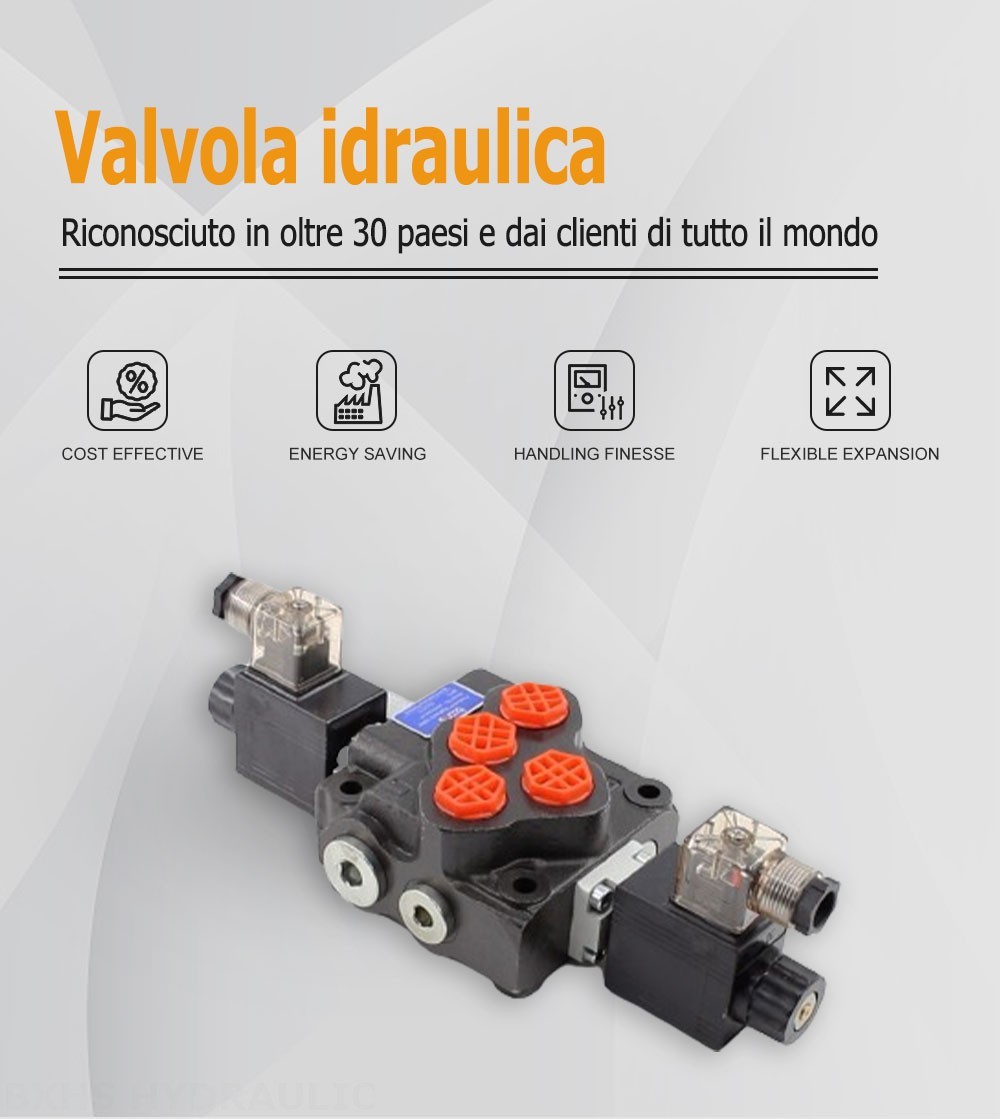 SD5 Solenoide 1 Spool Valvola direzionale monoblocco