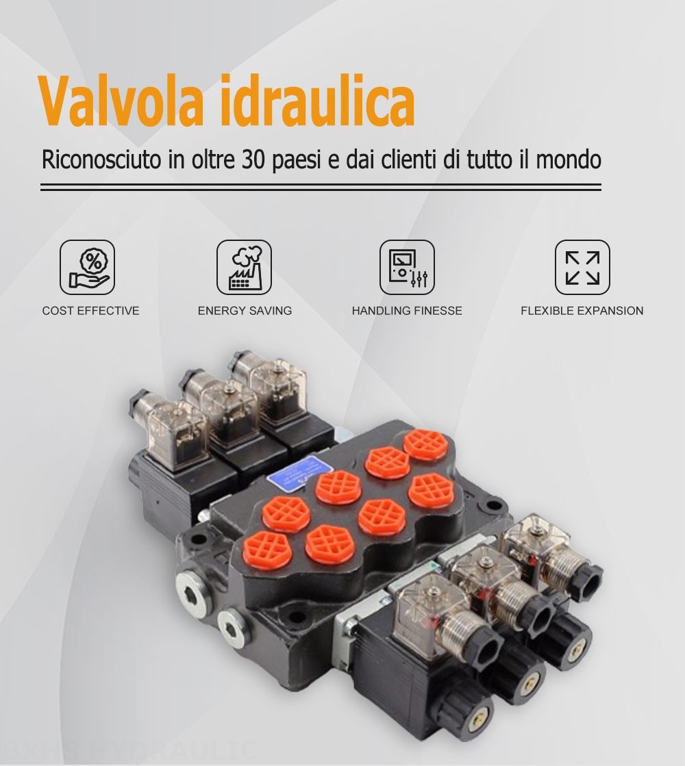 SD5 Solenoide 3 Spool Valvola direzionale monoblocco