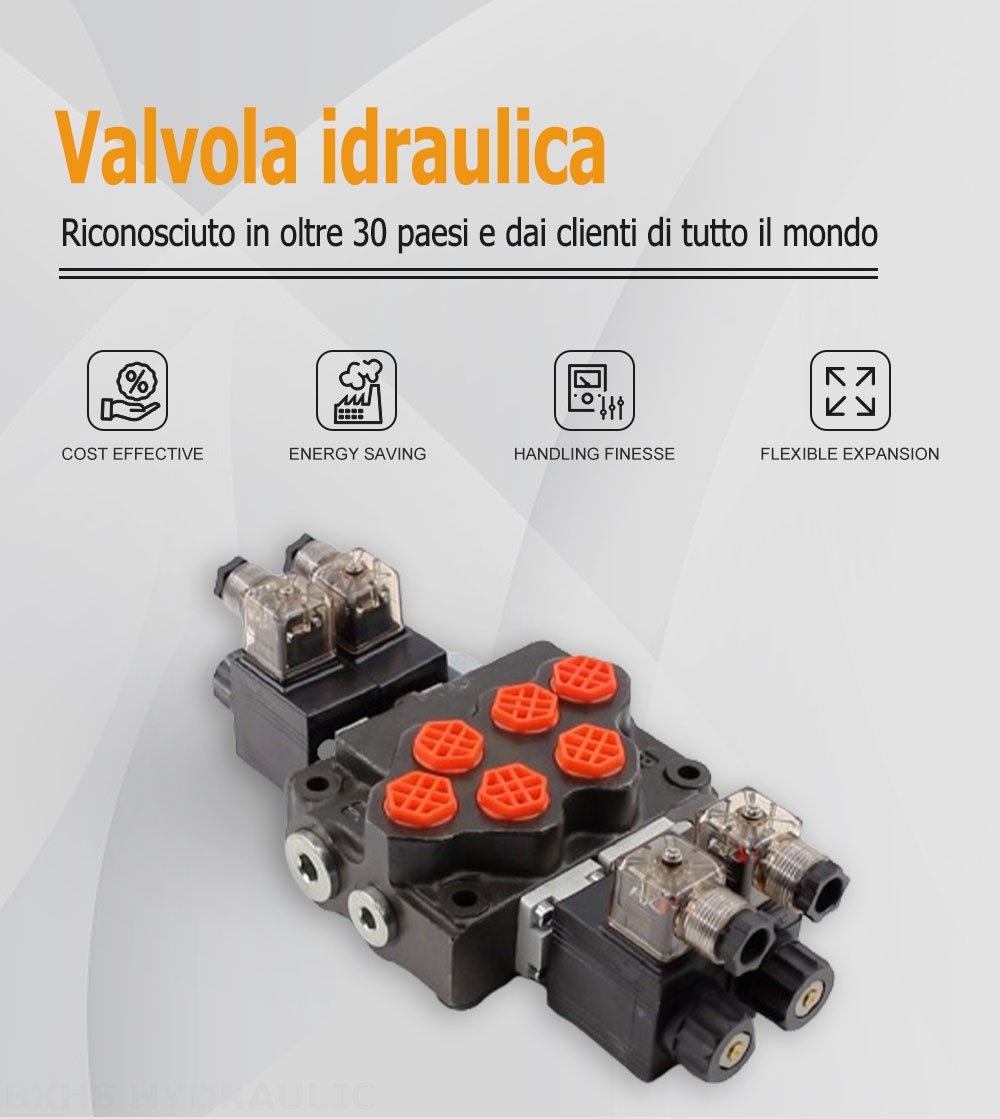 SD5 Solenoide 2 Spool Valvola direzionale monoblocco