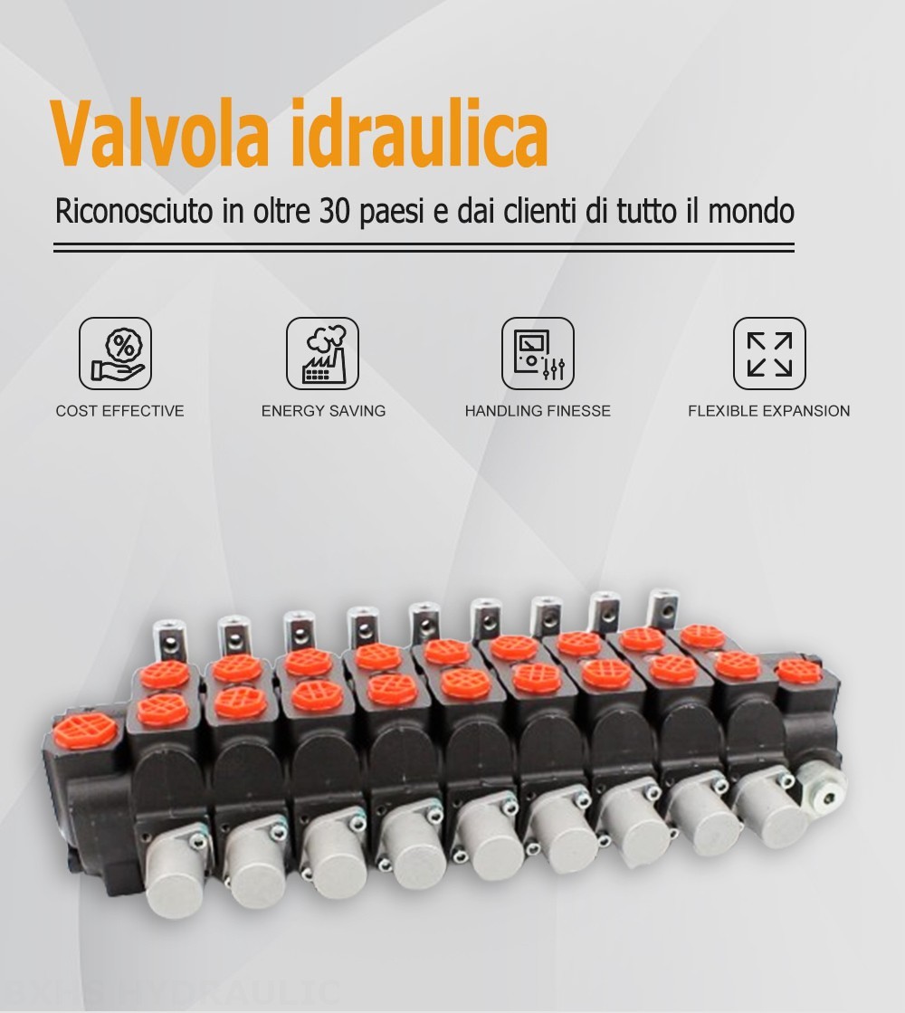 SD8 Manuale 9 Spool Valvola direzionale sezionale