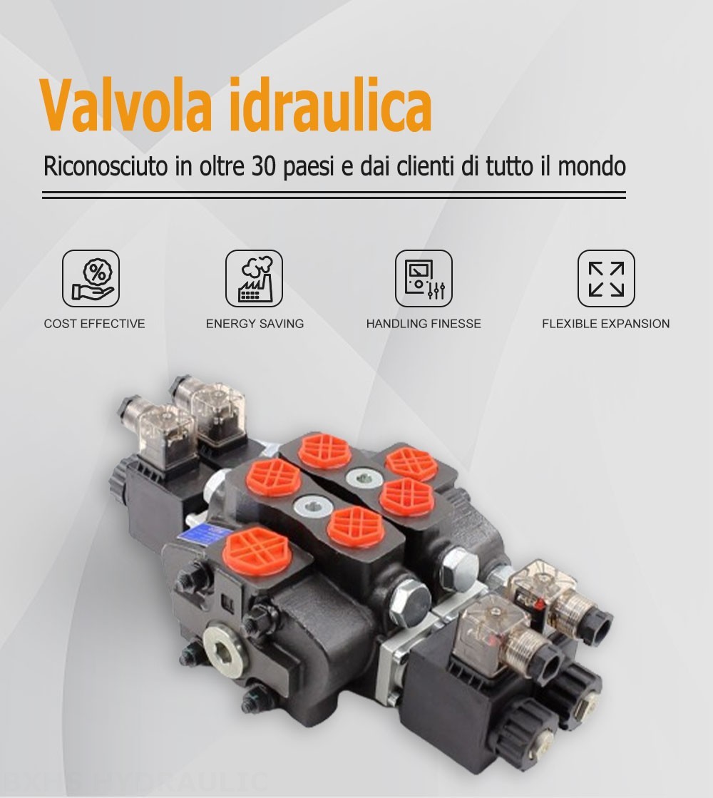 SD8 Solenoide 2 Spool Valvola direzionale sezionale