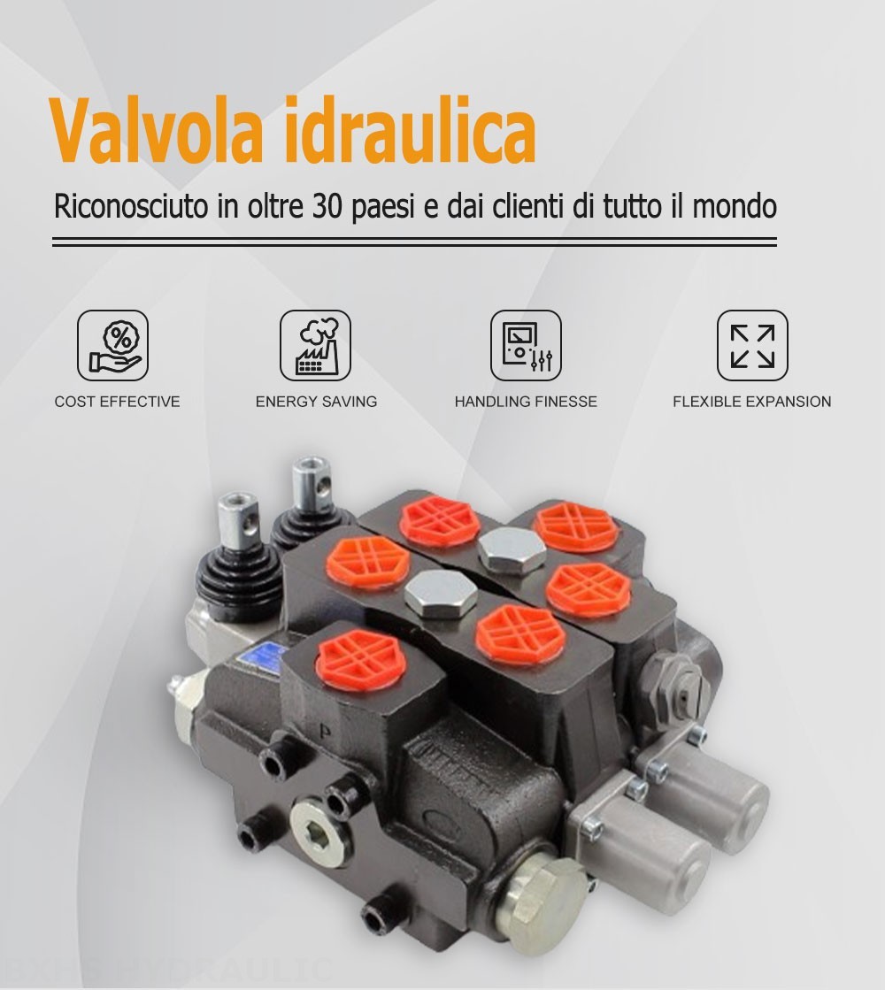 SDS180 Manuale 2 Spool Valvola direzionale sezionale