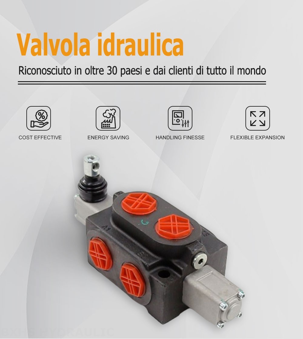 SHFY-G25L-00 Manuale 1 Spool Valvola direzionale monoblocco