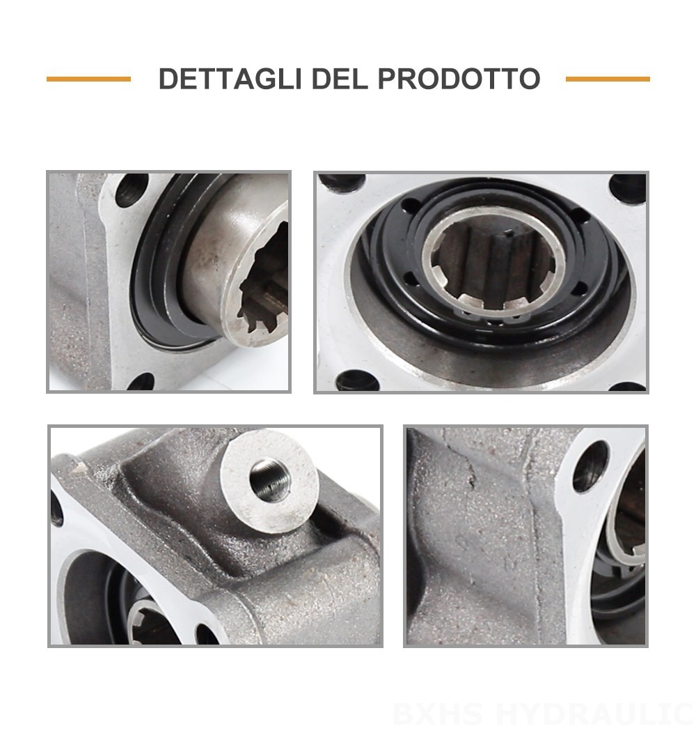 ZF50C 479.7 Nm 1:1 Presa di Forza