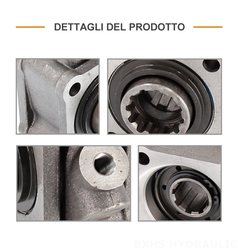 ZF50D 479.7 Nm 1:1 Presa di Forza