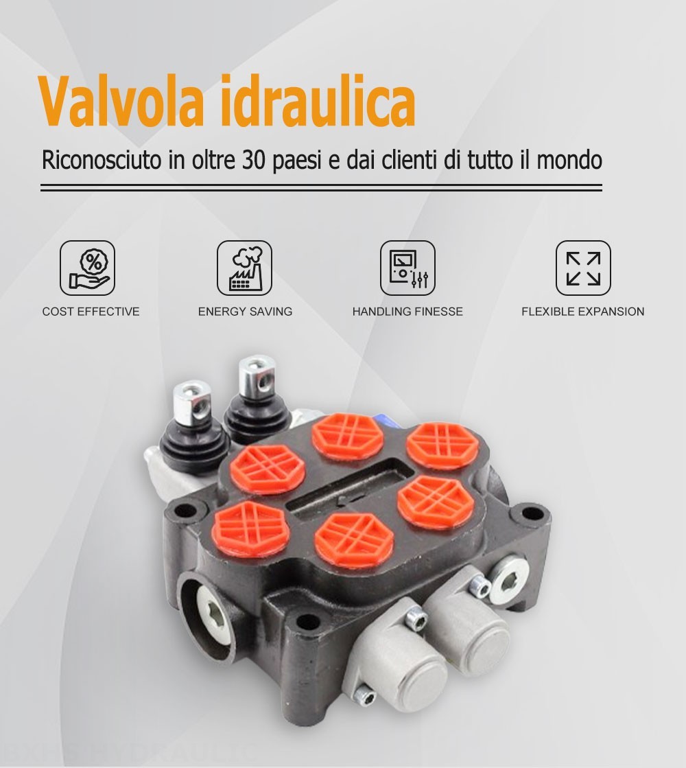 ZT20 Manuale 2 Spool Valvola di controllo idraulica