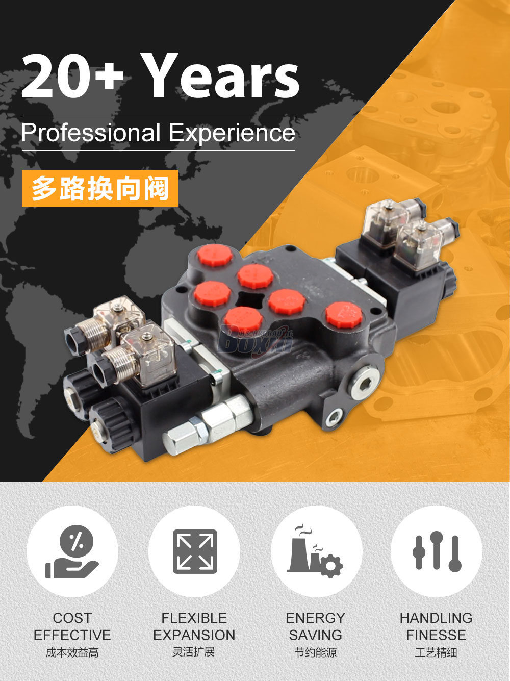 Partner with Us: Distribute the P80 Solenoid 2 Spool Monoblock Directional Valve