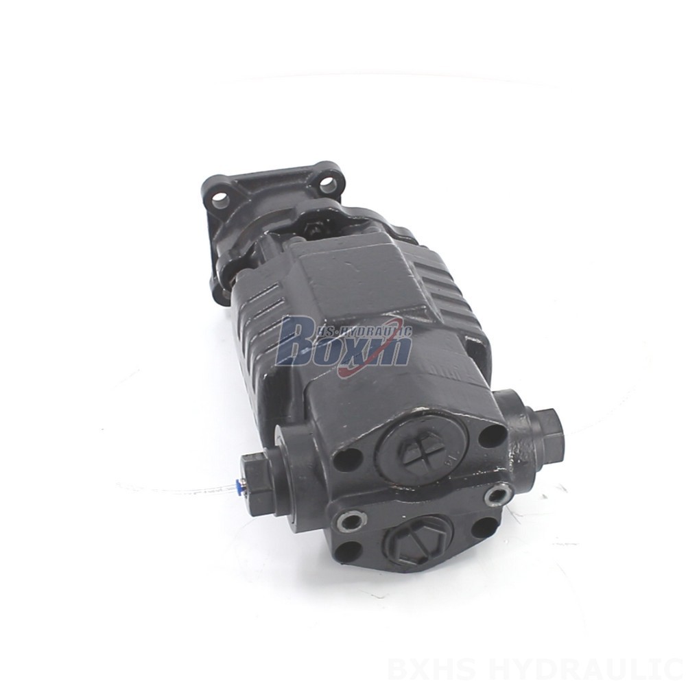 BF110A-ZF1 Hydraulic Gear Pump: OEM, ODM, Private Label & Custom Manufacturing Services main image
