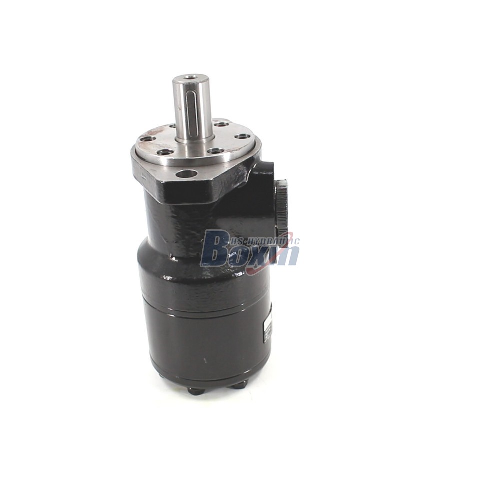 OEM ODM Custom BMR-315 Hydraulic Motor 315 cc/r Private Labeling cover photo