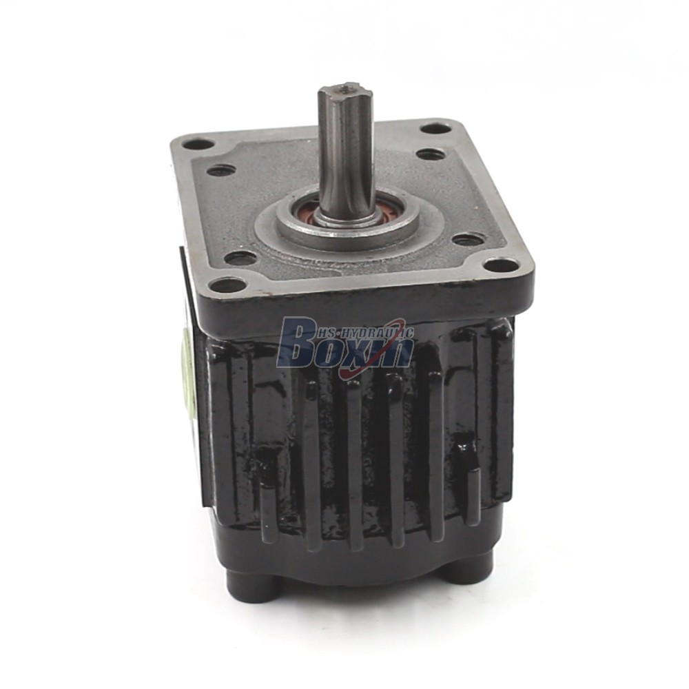Private Label & Customized 16 cc/rev Hydraulic Gear Pumps: OEM/ODM Solutions main image