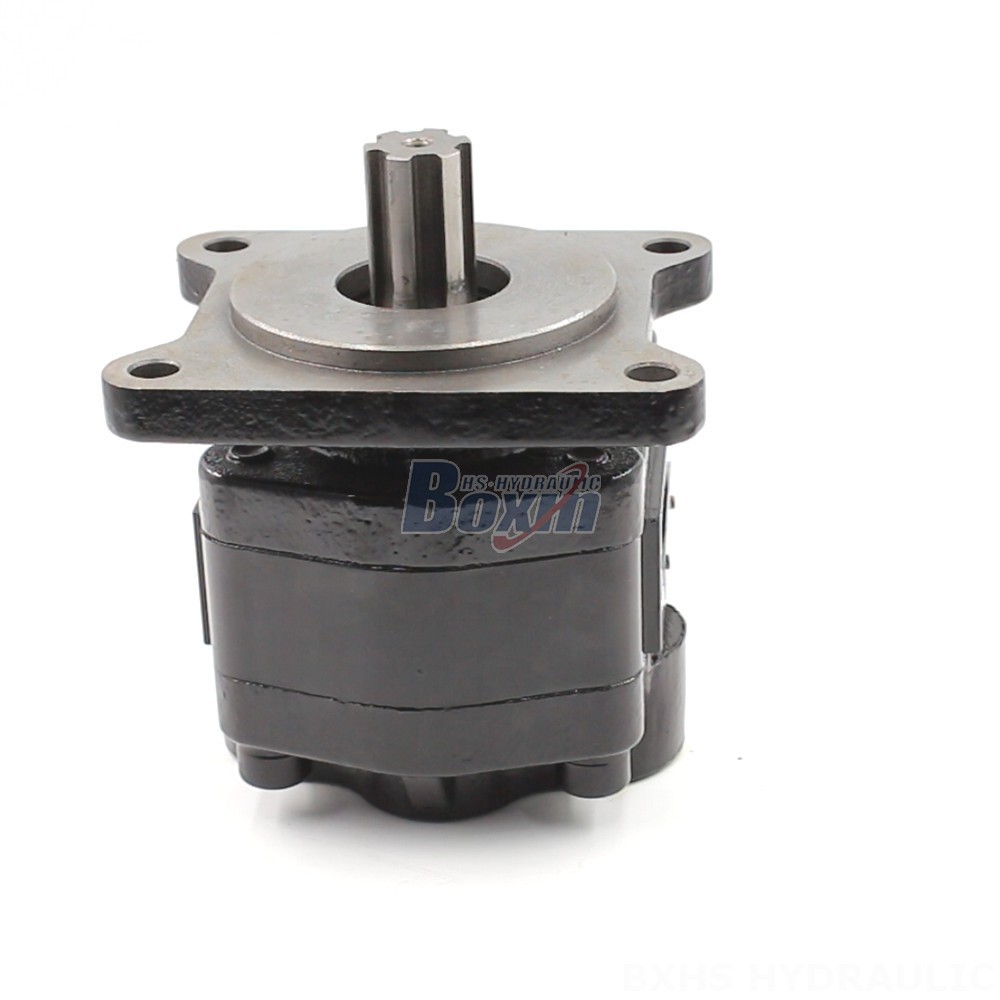 Manufacturer of 20 cc/rev Hydraulic Gear Pumps: Wholesale & Customization Available main image