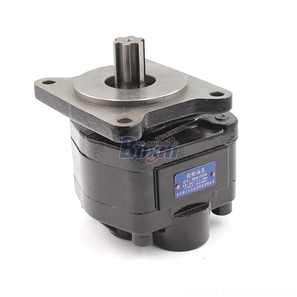 Manufacturer of 20 cc/rev Hydraulic Gear Pumps: Wholesale & Customization Available main image