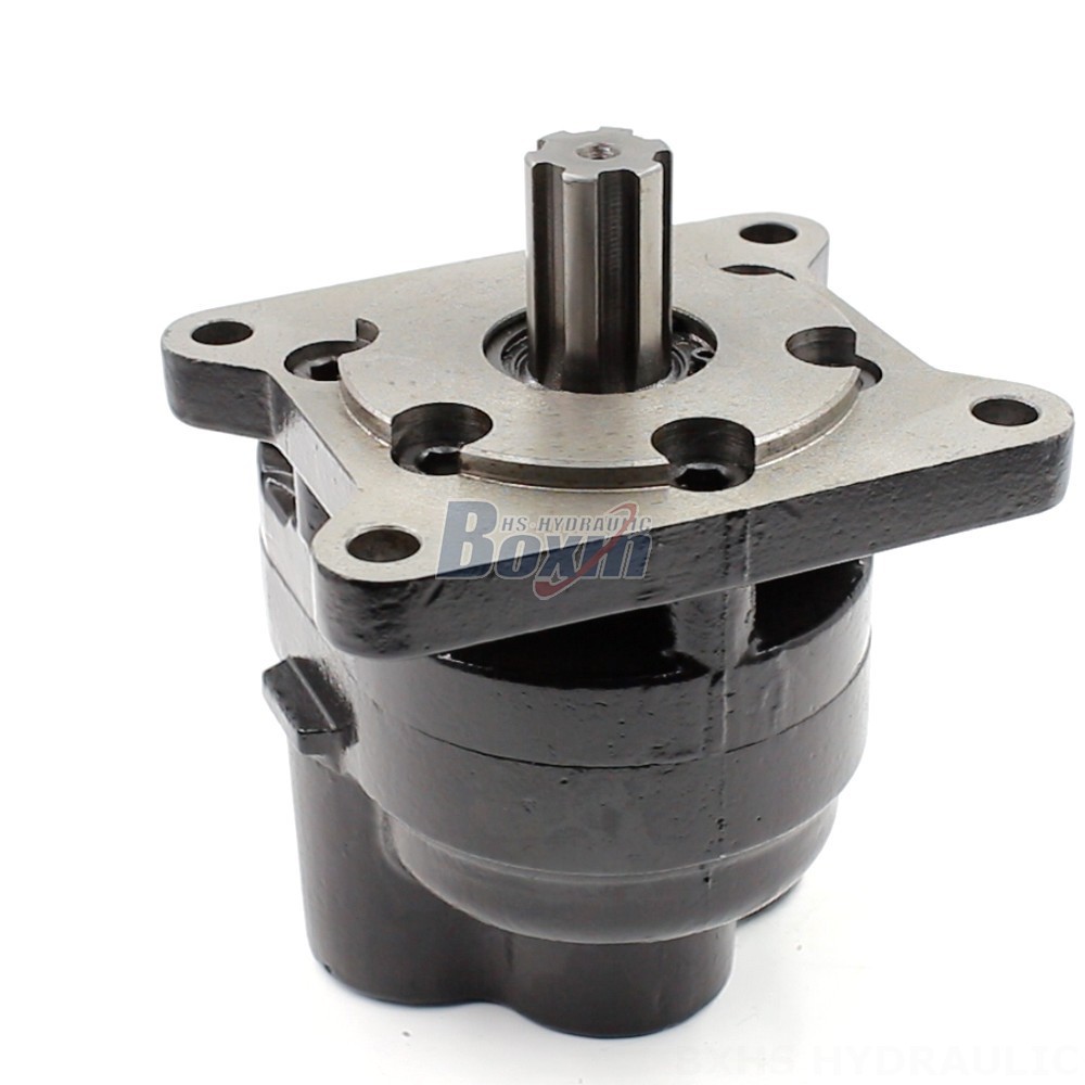 Industrial-Grade Hydraulic Gear Pump: Customized Manufacturing and Distribution main image