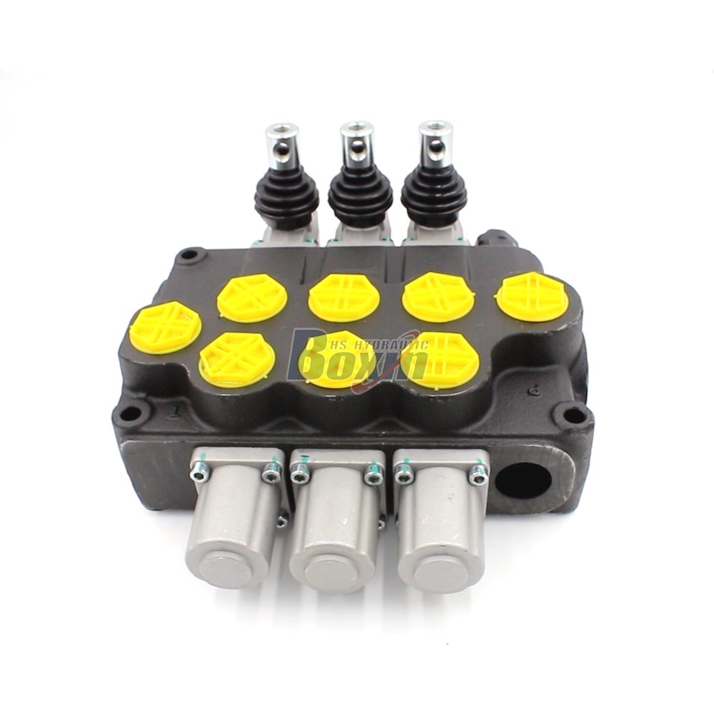 P120-G1-OT Monoblock Valve: Specifications, Features, and Applications main image