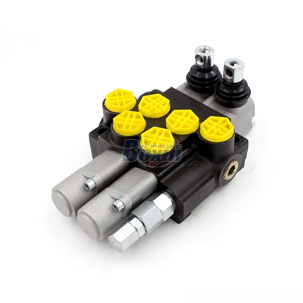 Reliable Supply: Partner with Us for Consistent P40-G12-2OT Valve Supply main image