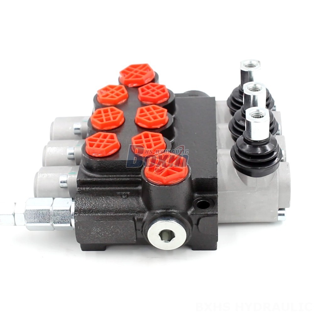 P40-G38-G12-OT-OT-OT Monoblock Directional Valve | Manufacturer & Supplier cover photo