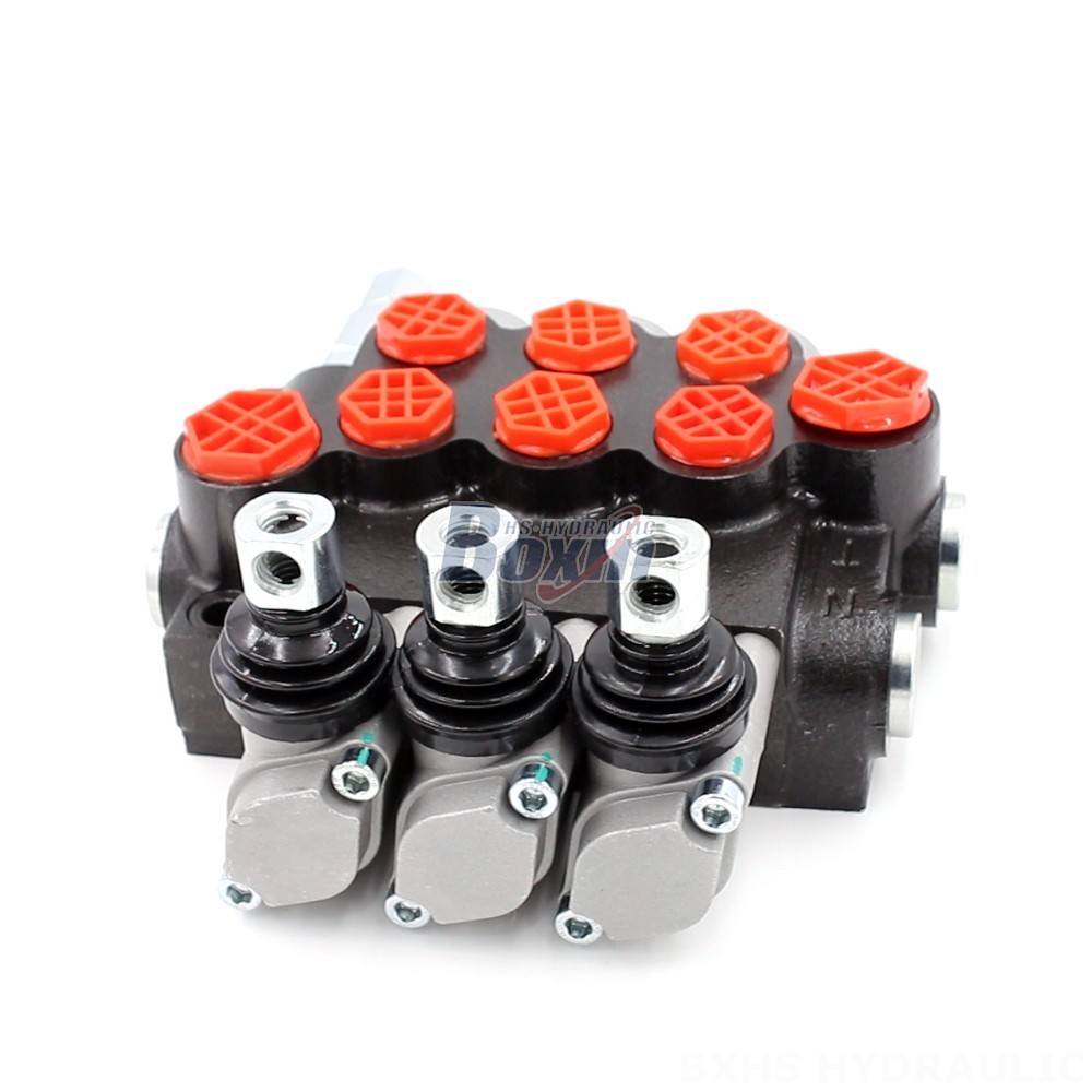 P40-G38-G12-OT-OT-OT Monoblock Directional Valve | Manufacturer & Supplier main image
