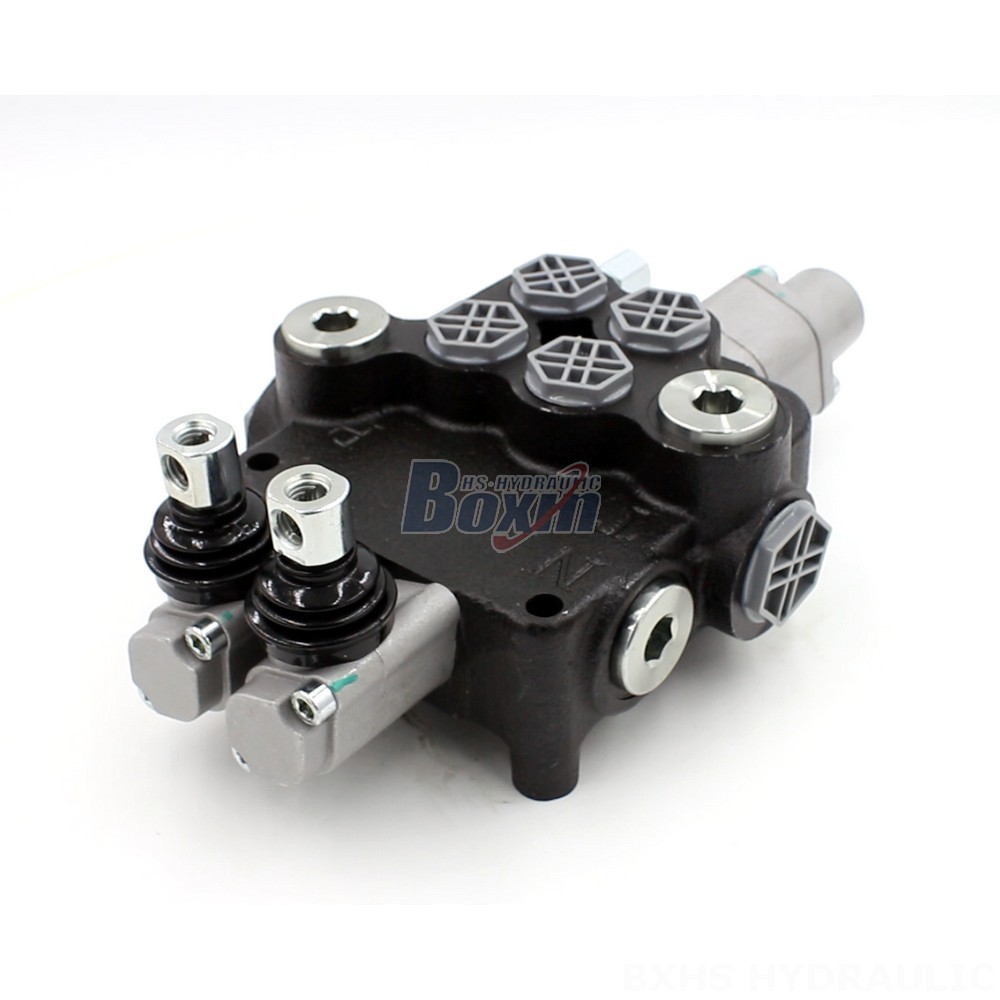 P80-G12-G34 Custom Hydraulic Valves: Customizable for Bespoke Solutions main image