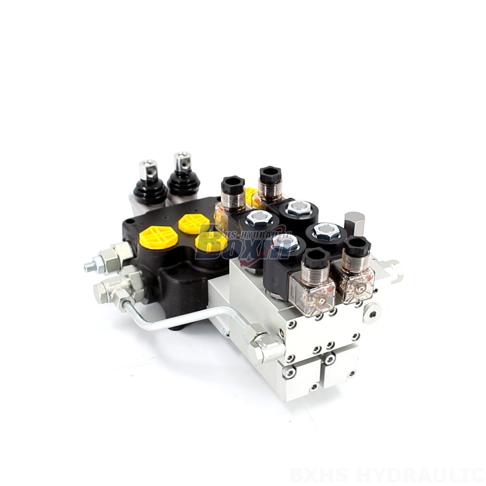 Manufacturer of P80 Monoblock Valves: Wholesale & Customization Available main image