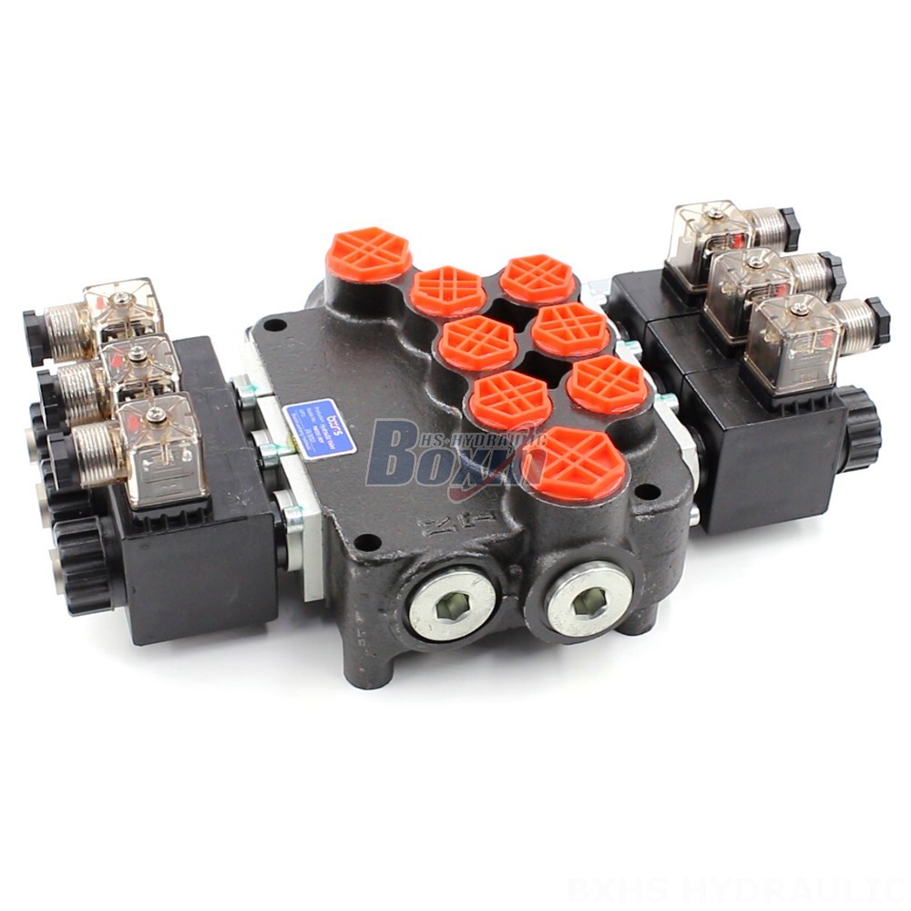 Your Design, Our Expertise: OEM Manufacturing of P80 Valves main image