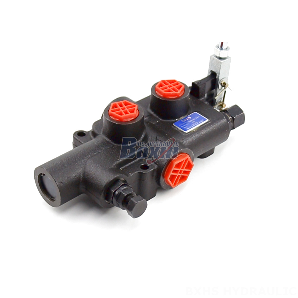 High-Performance P81 Valve for Demanding Hydraulic Applications cover photo