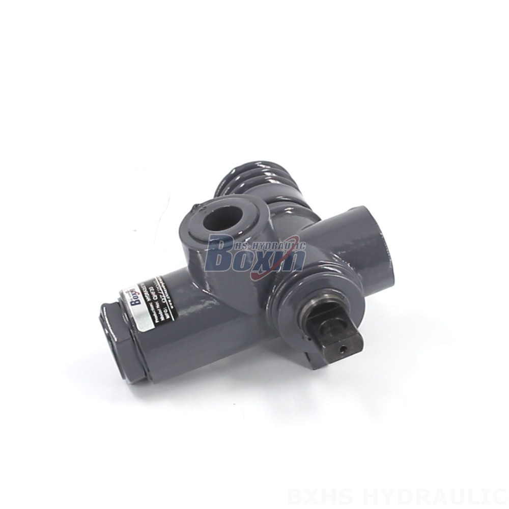 QHF20 Manual 1 Spool Monoblock Directional Valve: OEM, ODM, and Custom Manufacturing Services main image